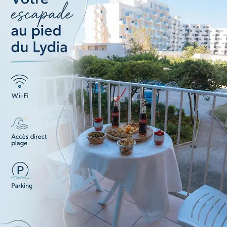 Le Petit Nid Du Lydia -accès Direct Plage- Wi-fi - Parking *